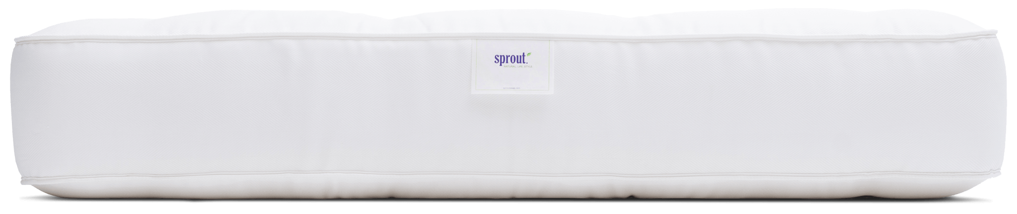 Sprout Firmus
