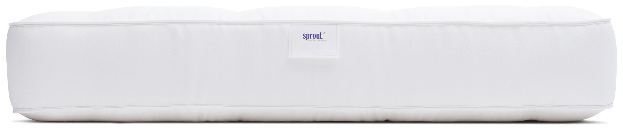 Sprout Firmus